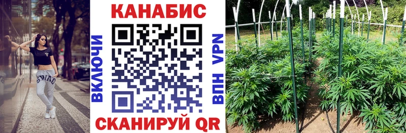 Все наркотики Покров ГАШИШ  Cocaine  A PVP  МЕГА ТОР  Меф  Канабис 