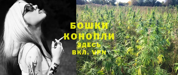 гидропоника Балабаново
