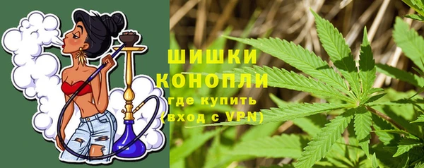амф Арсеньев
